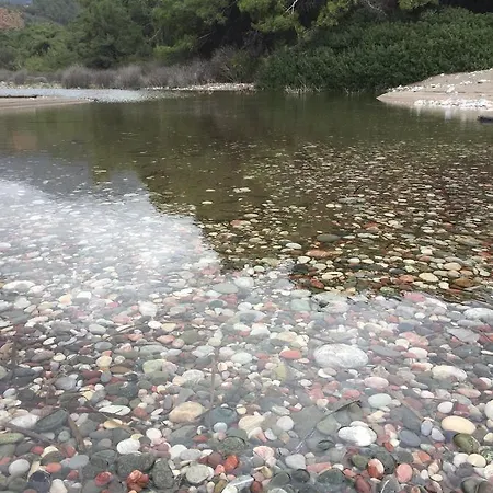 Palamutbuekue Pansiyon Konukevi Palamutbükü